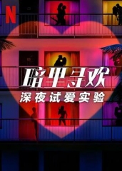 暗里寻欢:深夜试爱实验