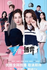 夫妻的博弈粤语